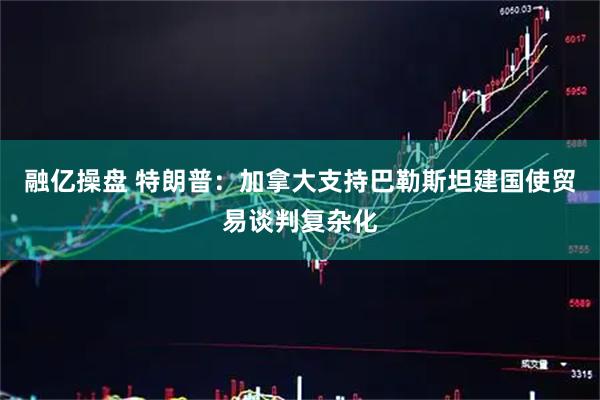 融亿操盘 特朗普：加拿大支持巴勒斯坦建国使贸易谈判复杂化