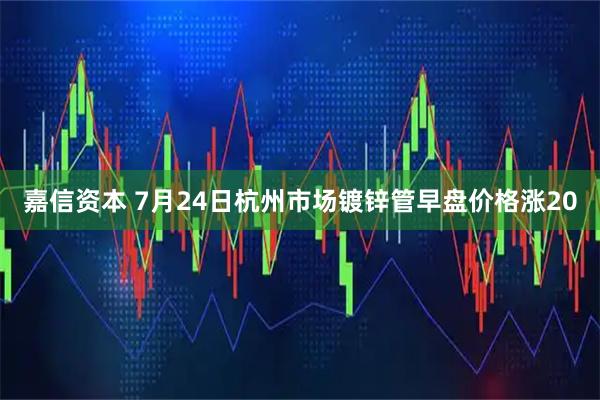 嘉信资本 7月24日杭州市场镀锌管早盘价格涨20