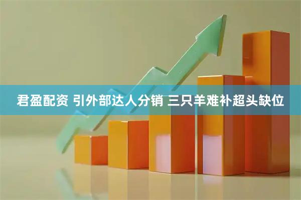 君盈配资 引外部达人分销 三只羊难补超头缺位