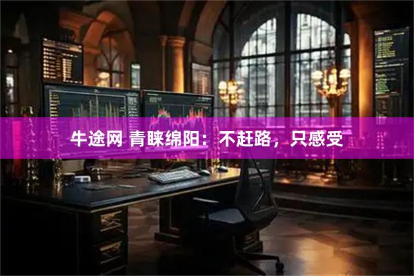 牛途网 青睐绵阳：不赶路，只感受